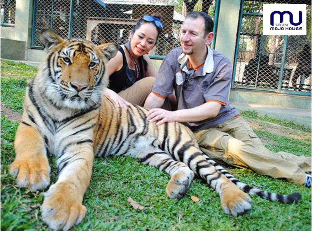 Mojo House Vandrerhjem Chiang Mai Eksteriør bilde